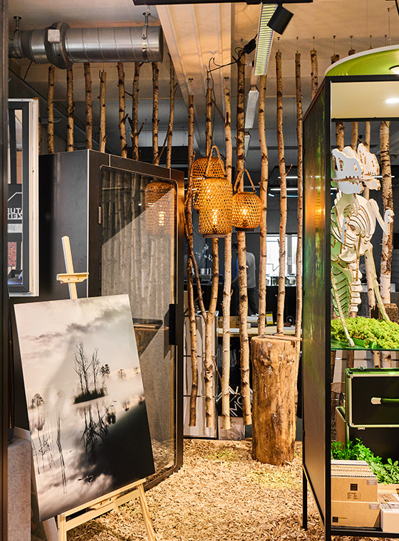 Raumansicht Showroom
