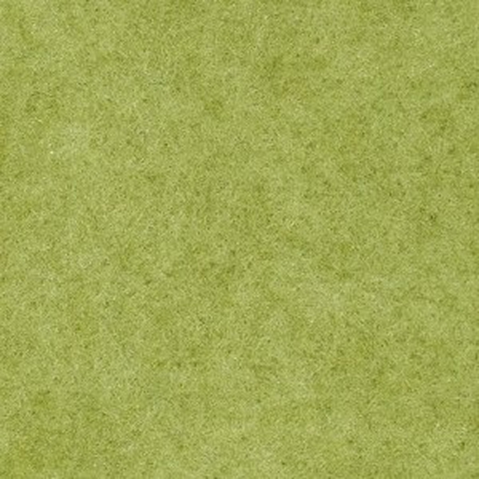 Grass