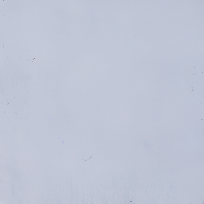 Ice